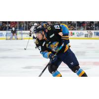 Matt Berry of the Toledo Walleye