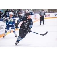 Winnipeg ICE defenseman Maximilian Streule