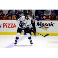 Winnipeg ICE defenseman Brandt Young