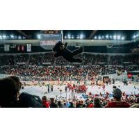 Portland Winterhawks Teddy Bear Toss