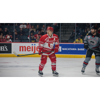 Grand Rapids Griffins center Kyle Criscuolo