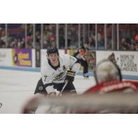Muskegon Lumberjacks forward Phil Tresca
