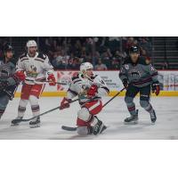 Grand Rapids Griffins right wing Matt Berry vs. the Rockford IceHogs