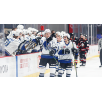 Victoria Royals react after a goal vs. the Portland Winterhawks