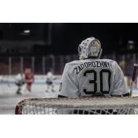 Muskegon Lumberjacks goaltender Platon Zadorozhnyy