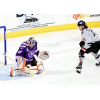 Chase Harrison of the Allen Americans takes a shot against the Rapid City Rush