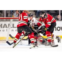 Red Deer Rebels battle the Calgary Hitmen