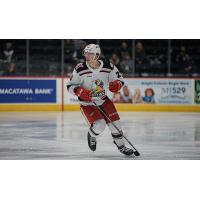 Grand Rapids Griffins defenseman Dan Renouf
