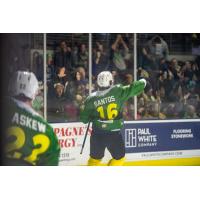 Maine Mariners forward Mathew Santos