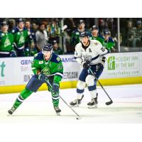 Maine Mariners defenseman Brycen Martin