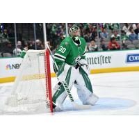 Dallas Stars goaltender Ben Bishop