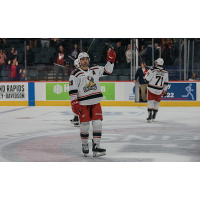 Grand Rapids Griffins defenseman Luke Witkowski