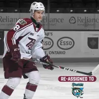 Peterborough Petes forward Cole Patey
