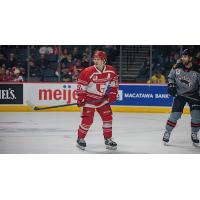 Grand Rapids Griffins center Kyle Criscuolo