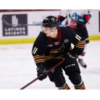 Vancouver Giants forward Fabian Lysell