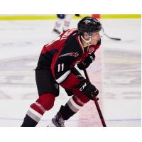 Vancouver Giants forward Fabian Lysell