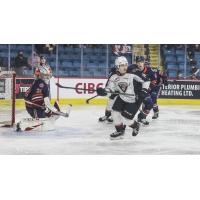 Ethan Semeniuk of the Vancouver Giants vs. the Kamloops Blazers