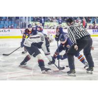 Ty Halaburda of the Vancouver Giants faces off against the Kamloops Blazers