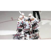 Rockford IceHogs huddle up