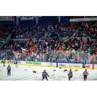 Rockford IceHogs Teddy Bear Toss
