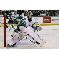 Texas Stars goaltender Ben Bishop