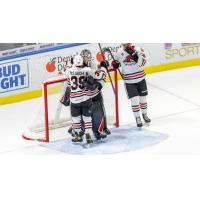 Rockford IceHogs exchange congratulations after a win