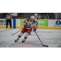 Grand Rapids Griffins defenseman Luke Witkowski