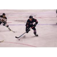 Knoxville Ice Bears right wing Colton Fletcher
