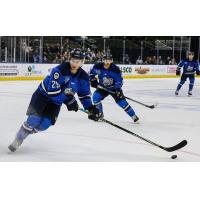 Jacksonville Icemen forward Craig Martin