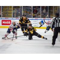 Springfield Thunderbirds defenseman Michael Kim (left) vs. the Providence Bruins