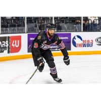Knoxville Ice Bears defenseman Jason Price