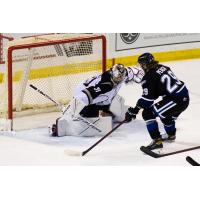 Vancouver Giants goaltender Will Gurski eyes the puck against the Victoria Royals