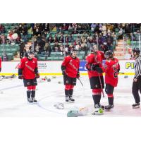 Prince George Cougars in the aftermath of Ethan Samson's Teddy Bear Toss goal
