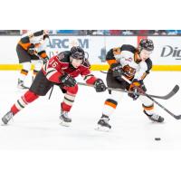 Medicine Hat Tigers left wing Brayden Boehm (right) vs. the Red Deer Rebels