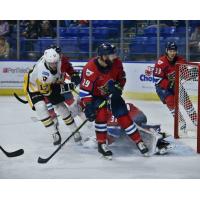 Springfield Thunderbirds center Nathan Todd vs. the Wilkes-Barre/Scranton Penguins