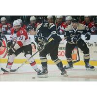 Wheeling Nailers forward Jared Cockrell vs. the Cincinnati Cyclones