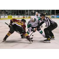 Texas Stars face off with the Chicago Wolves