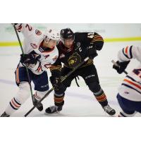 Vancouver Giants forward Justin Sourdif