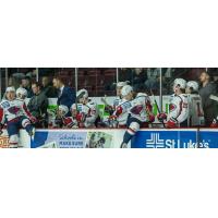 South Carolina Stingrays bench