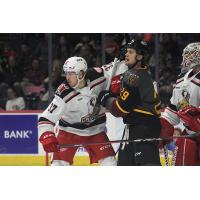 Grand Rapids Griffins defenseman Donovan Sebrango