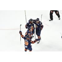 Greenville Swamp Rabbits celebrate a goal