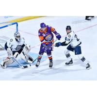 Orlando Solar Bears forward Ian Parker