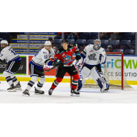 Victoria Royals goaltender Campbell Arnold vs. the Kelowna Rockets