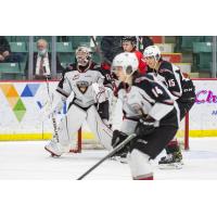 Vancouver Giants goaltender Will Gurski vs. the Prince George Cougars