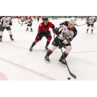 Vancouver Giants defenceman Tanner Brown vs. the Prince George Cougars