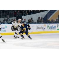 Wheeling Nailers forward Sam Houde (left) vs. the Norfolk Admirals
