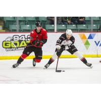 Vancouver Giants defenceman Alex Cotton (right) vs. the Prince George Cougars