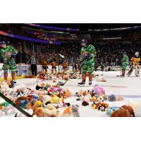 Orlando Solar Bears Teddy Bear Toss