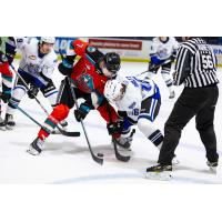 Kelowna Rockets centre Max Graham (left) vs. the Victoria Royals