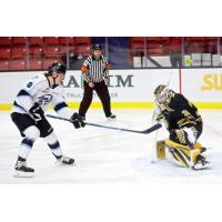 Winnipeg ICE right wing Evan Friesen shoots against the Brandon Wheat Kings